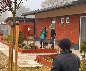Ekipa filmowa w schronisku dla zwierząt w Nowym Sączu 