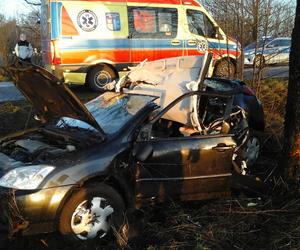 Świrydy. Tym autem jechała kobieta z 4-letnim dzieckiem. Toyota uderzyła w drzewo. Strażacy pokazali zdjęcia