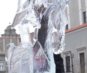 Poznań Ice Festival 2024 