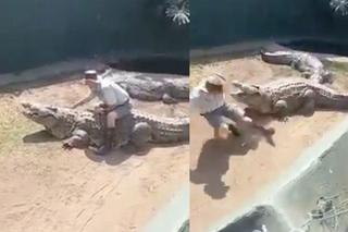 Krokodyl rzucił się na opiekuna podczas przedstawienia dla dzieci! Wszystko się nagrało. WIDEO
