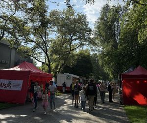 W Parku Hallera odbyły się Dni Dąbrowy Górniczej