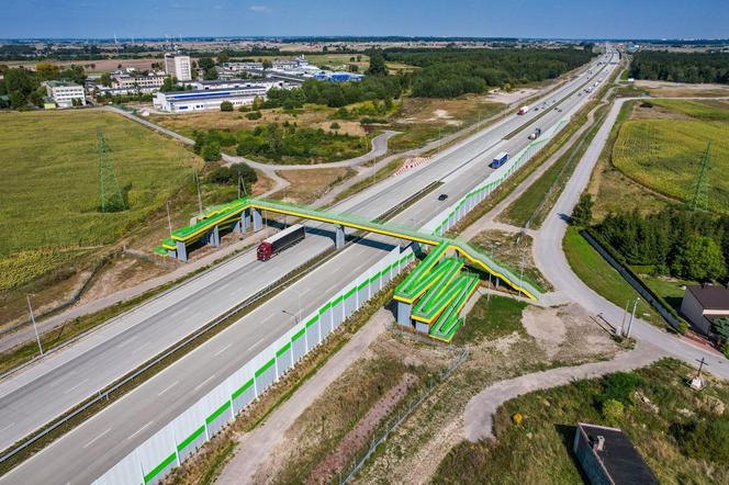 Autostrada A1 Piotrków Trybunalski Zachód - Kamieńsk