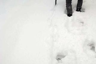 Policjanci z Rybnika otrzymali dramatyczną wiadomość