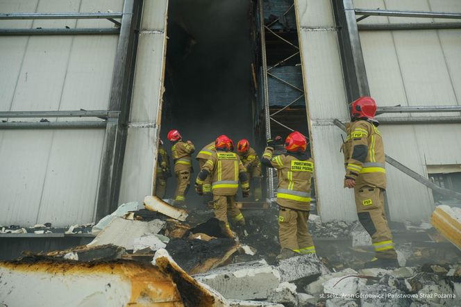  Kawle. Pożar zakładu przetwórstwa drobiowego. 120 strażaków walczy z żywiołem w czwartek, 14 sierpnia. Jeden z nich zaginął [ZDJĘCIA]