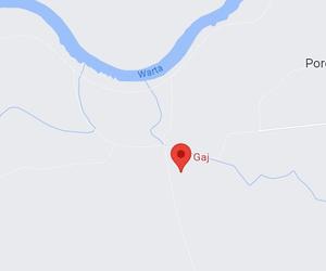 Te miejscowości w Lubuskiem mają najkrótsze nazwy. Znasz je wszystkie?