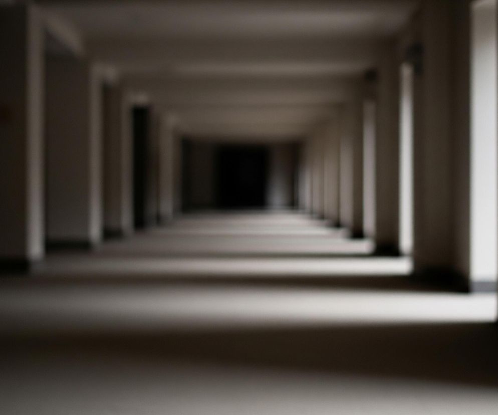 Długi, prosty korytarz, sfotografowany z perspektywy pierwszej osoby, jest niewyraźny i oświetlony od góry. Po obu stronach biegną rzędy kolumn, tworząc powtarzające się pionowe kształty, które zanikają w oddali. Podłoga i sufit są w odcieniach szarości, a daleki koniec korytarza jest ciemny, niemal czarny. Światło tworzy na podłodze cienie rzucane przez kolumny.