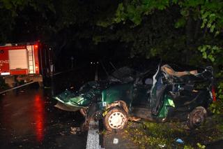 Lubelskie: Auto roztrzaskało się na drzewie
