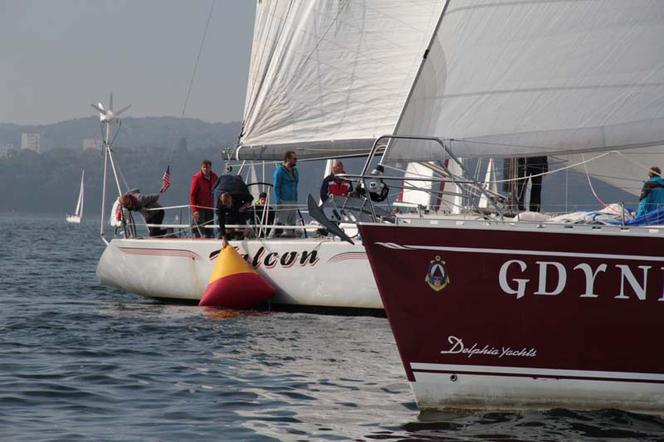 BlekitnaWstegaZatokiGdanskiej2015_FotMZwierz__7852