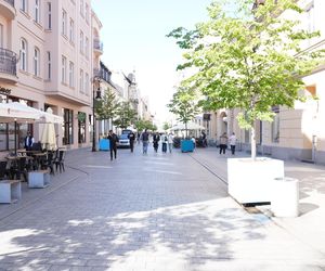 Ta dzielnica w Poznaniu jest najbardziej niebezpieczna