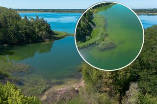Polskie Malediwy zachwycają i zabijają! Rajski Osadnik Gajówka to śmiertelna pułapka