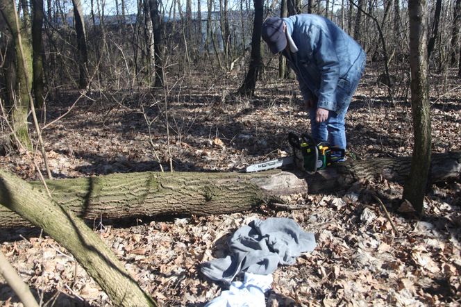 Jarka zabiło drzewo gdy porządkował las