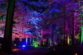 Park Świateł w Olsztynie zamieni miasto w bajeczną krainę