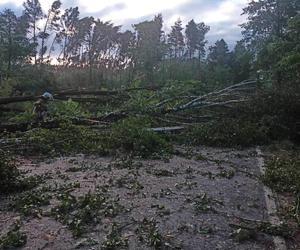 Niebezpieczne burze uderzą w Podkarpacie. Jest ostrzeżenie dla mieszkańców  