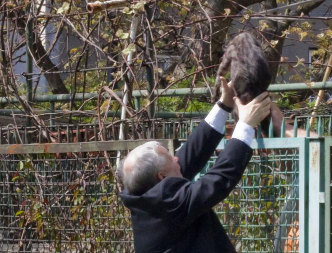 Jarosław Kaczyński i Donald Tusk, jak pies z kotem