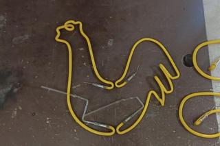 Odnalezione neony w Pawilonie Cepelii - zdjęcia. Trafią do Muzeum Neonów w Warszawie