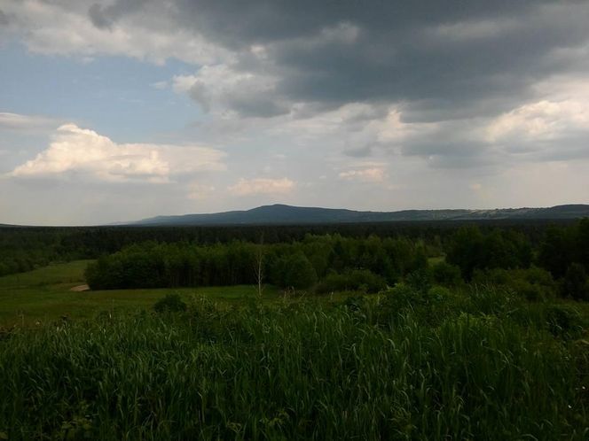 Klonów - urokliwa wieś w sercu Puszczy Świętokrzyskiej