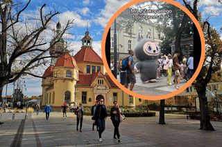 Miś z Zakopanego to już przeszłość. Nowa maskotka podbija Sopot