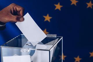 Wyniki wyborów do Parlamentu Europejskiego 2024 w regionie. Ile karto do głosowania było nieważnych?