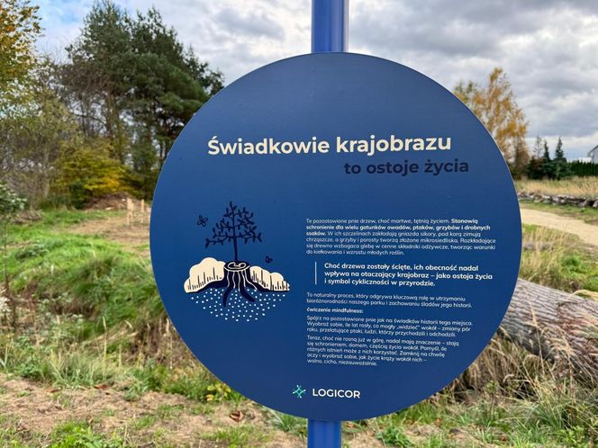Serenity Park w Mysłowicach to nowe miejsce wypoczynku na Śląsku