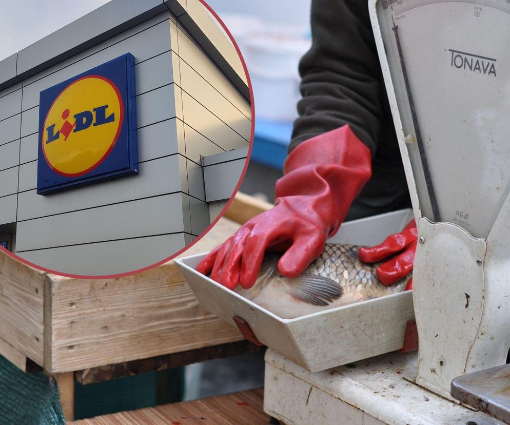 Lidl rusza ze sprzedażą karpia. Cena nie należy do najniższych