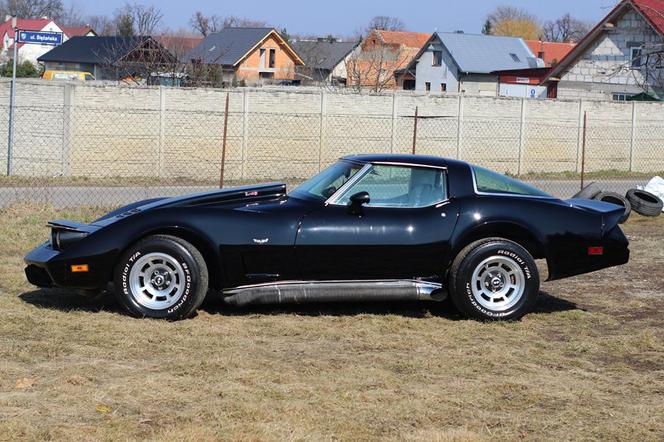 Chevrolet Corvette C3 Kamila Bednarka