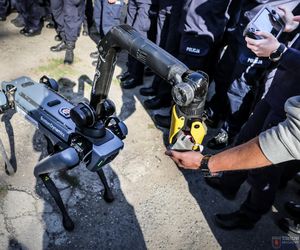 Ma cztery łapy, stalowe serce i właśnie podał łapę policjantowi. „Robopies” nowym hitem w służbach