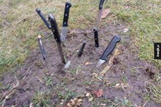 Memy o Kielcach i Świętokrzyskiem. Jest scyzoryk, tramwaj i Pan Kleks