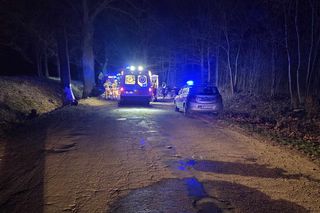 Śmiertelny wypadek pod Iławą. Alfa Romeo rozbiła się na drzewie, zginął młody kierowca