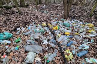 Kolejne dzikie wysypisko śmieci we Wrocławiu. I to tuż przy rzece! Zawiadomiono prokuraturę 