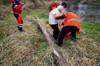  Staruszka błąkała się całą noc nad Wisłą