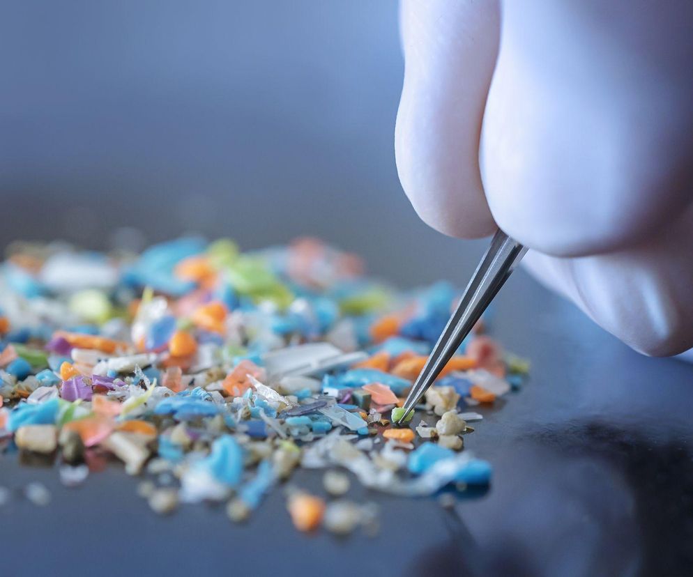 Odkryto kolejną przyczynę demencji? W mózgu znaleziono groźne mikrocząsteczki plastiku