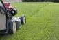 Jak efektywnie kosić trawę i dbać o trawnik? Oto porady eksperta!