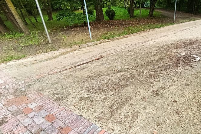 Usterki na Alei Fałata