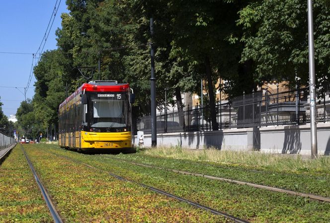 Zielone torowiska