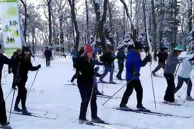 Bieganie na nartach w Łodzi