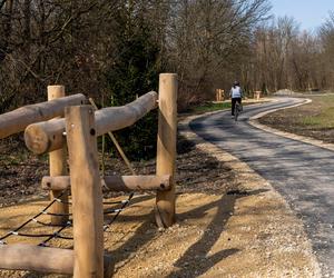 Zabrzański Geopark w Grzybowicach jest już prawie gotowy