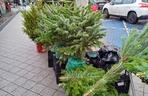 Drzewka świąteczne na Rynku Jeżyckim w Poznaniu