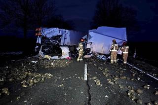 Śmiertelny wypadek pod Malborkiem! Dwie osoby zginęły w potwornym zderzeniu ciężarówek [ZDJĘCIA].