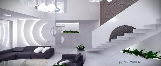 Dom w Radzyminie - projekt salonu zdjecie nr 2