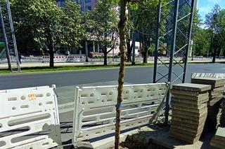 Nieznany sprawca podpalił świeżo posadzone drzewo na placu Rodła