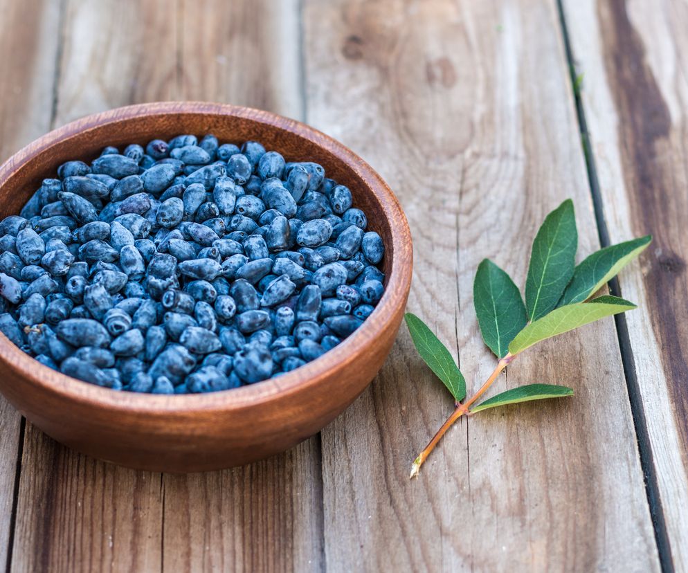 JAGODA KAMCZACKA - właściwości i zastosowanie