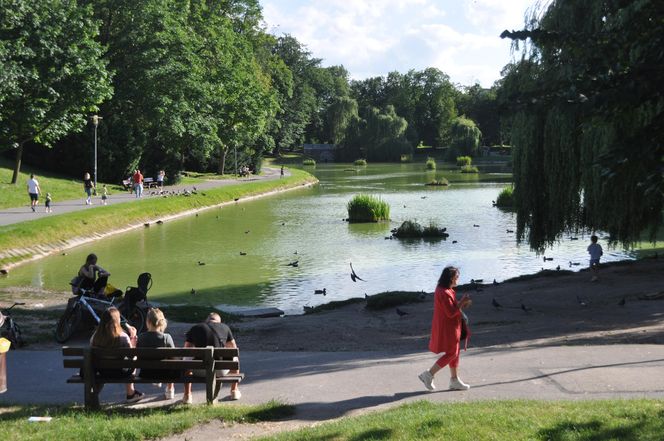 Park Miejski im. S. Staszica