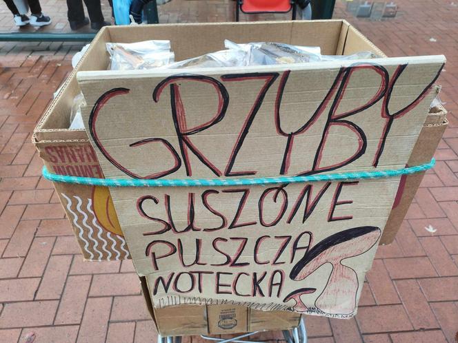 Suszone grzyby w Łodzi. Sprawdź, ile za nie zapłacisz