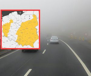 Gęsta mgła spowije Polskę. Zgniły wyż da się we znaki 