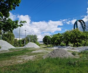 Torowisko tramwajowe na Babiej Wsi w Bydgoszczy zarośnięte chwastami. Tramwaje zniknęły stąd lata temu