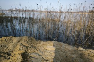 Osieczna przygotowuje plaże na Stanisławówce 