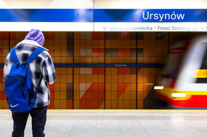 Wpisane do rejestru zabytków mozaiki na stacjach metra M1 Ursynów i Służew
