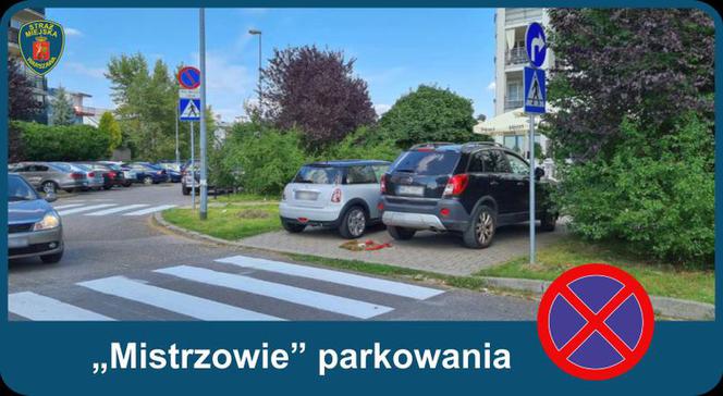 Warszawscy "mistrzowie parkowania"
