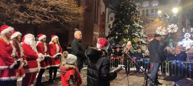 Rozświetlenie elbląskiej choinki miejskiej