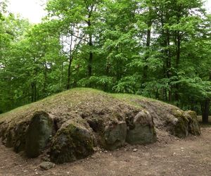 W Kujawsko-Pomorskiem są piramidy starsze od tych egipskich. Mowa o niezwykłych megalitach w Wietrzychowicach